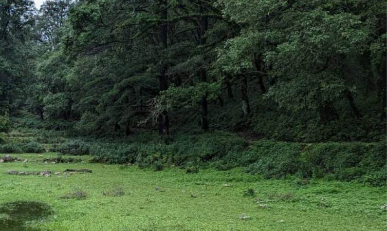 hotel near Tarkeshwar mahadev